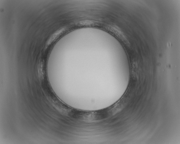 X0000080170116200612221300