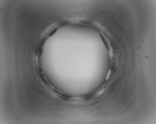 X0000080170117200612221300