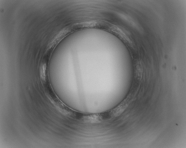 X0000080170118200612221300