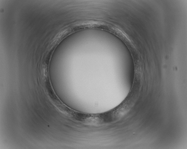 X0000080170119200612221300