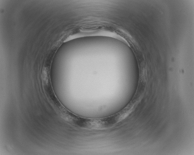 X0000080170121200612221300