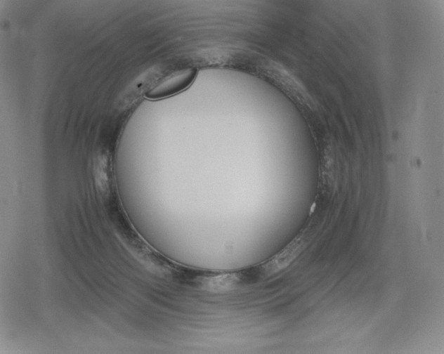 X0000080170122200612221300