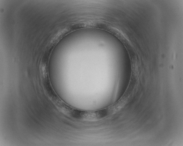 X0000080170123200612221300