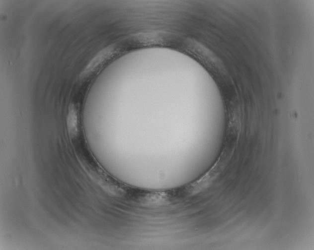 X0000080170124200612221300