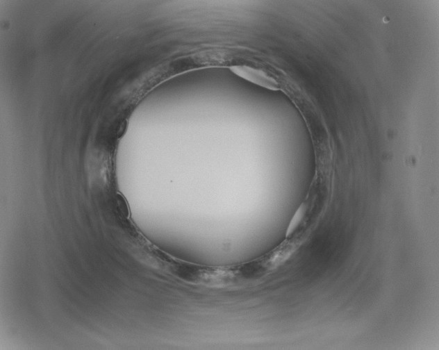 X0000080170125200612221300