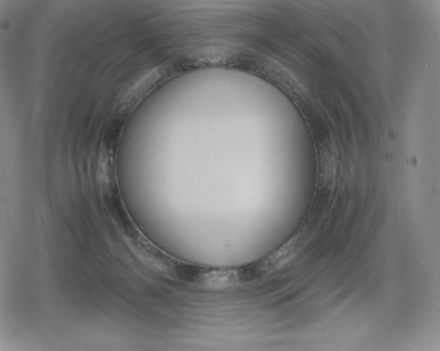 X0000080170126200612221300