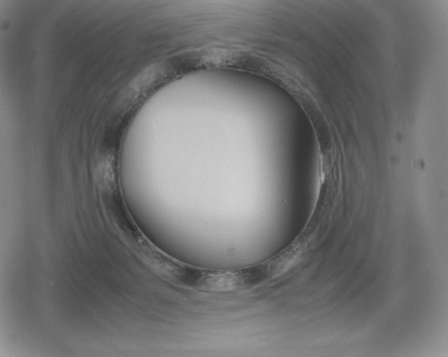 X0000080170127200612221300