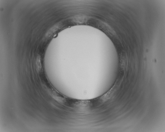 X0000080170128200612221300