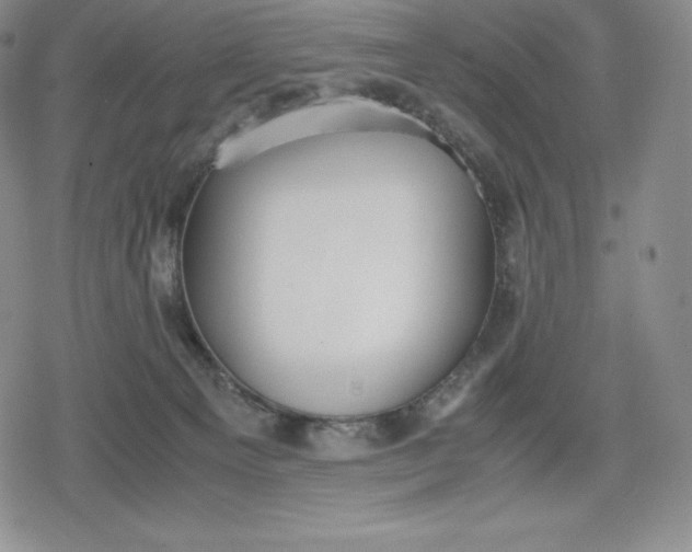 X0000080170129200612221300