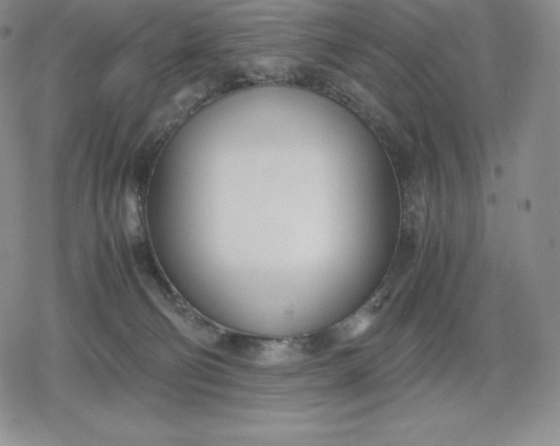 X0000080170130200612221300