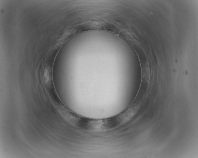 X0000080170131200612221300