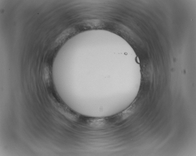 X0000080170132200612221300