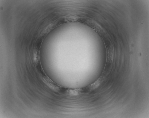 X0000080170134200612221300