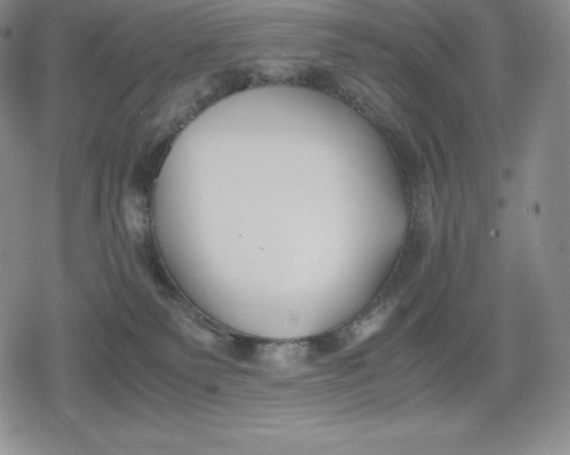 X0000080170135200612221300