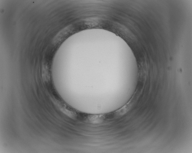 X0000080170136200612221300