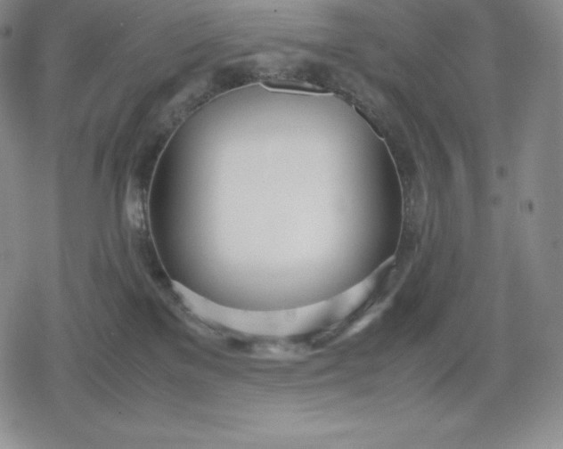 X0000080170137200612221300