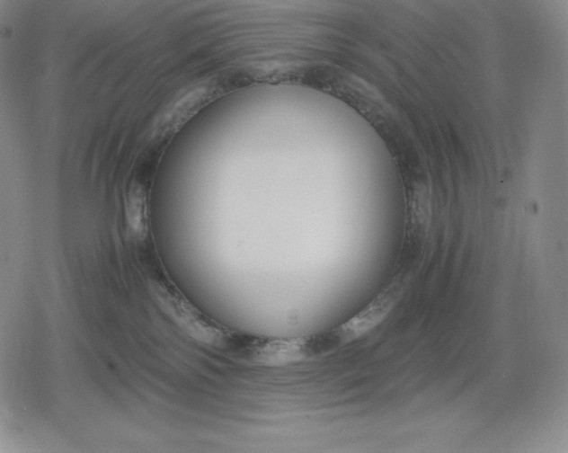 X0000080170138200612221300