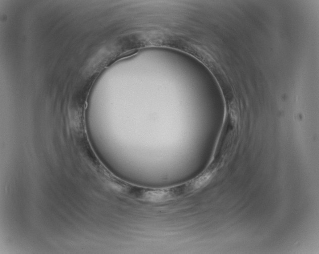 X0000080170139200612221300