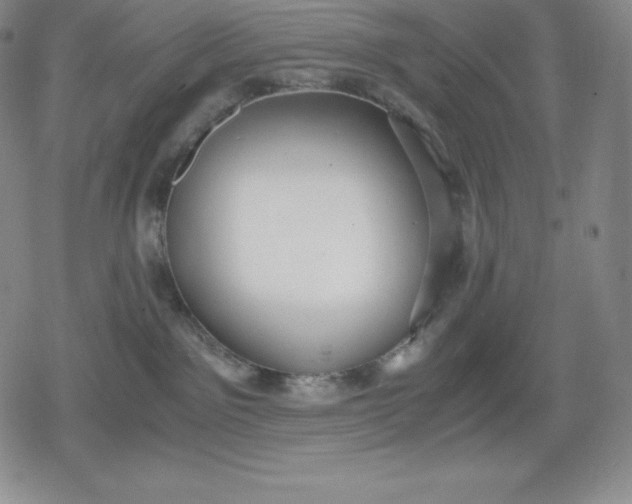 X0000080170141200612221300