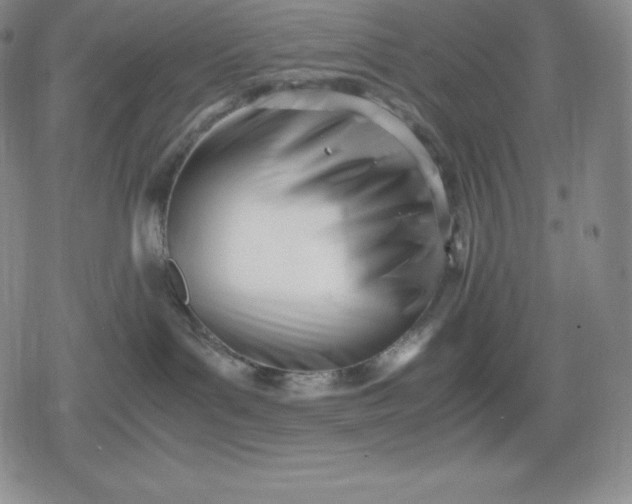 X0000080170143200612221300