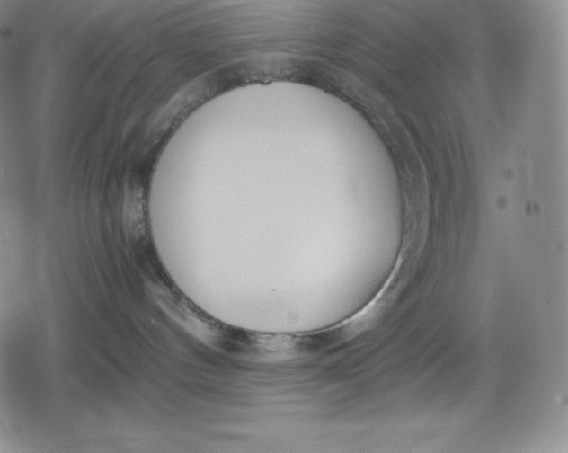 X0000080170144200612221300