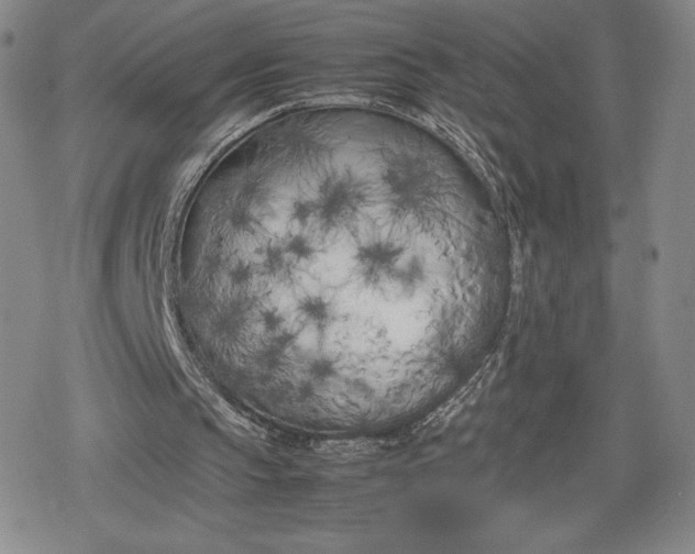 X0000080170145200612221259