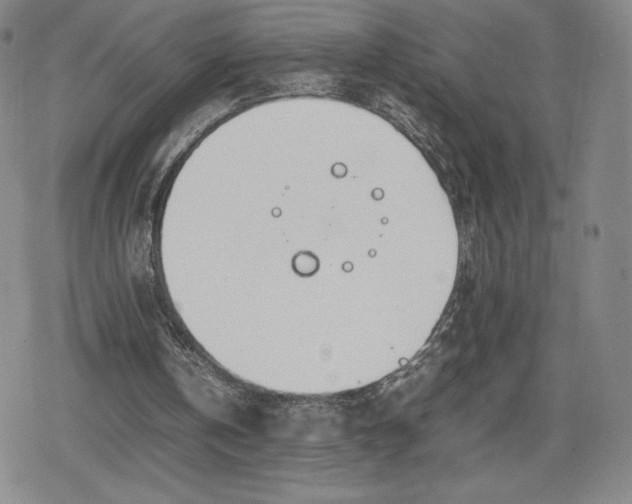 X0000080170146200612221259