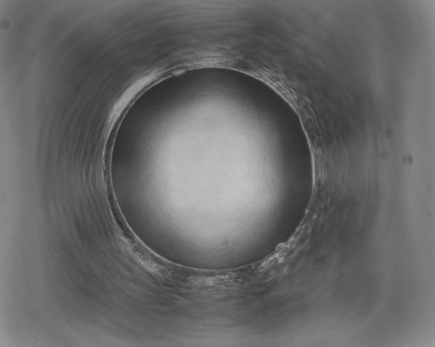 X0000080170147200612221259