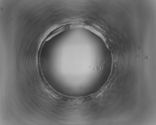 X0000080170148200612221259