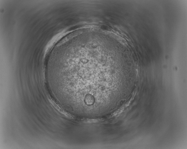 X0000080170149200612221259