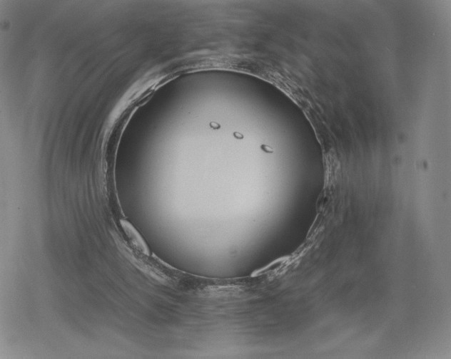 X0000080170150200612221259