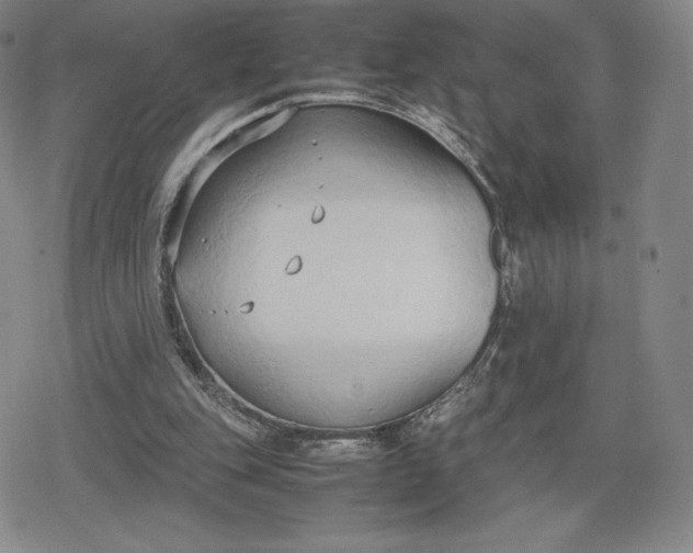 X0000080170151200612221259