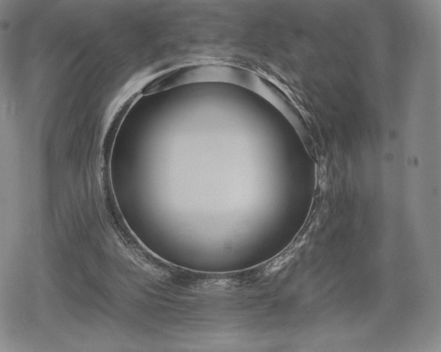 X0000080170152200612221259