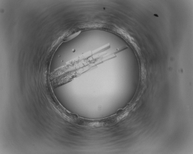 X0000080170153200612221259