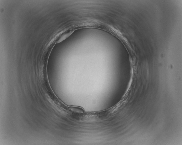 X0000080170154200612221259