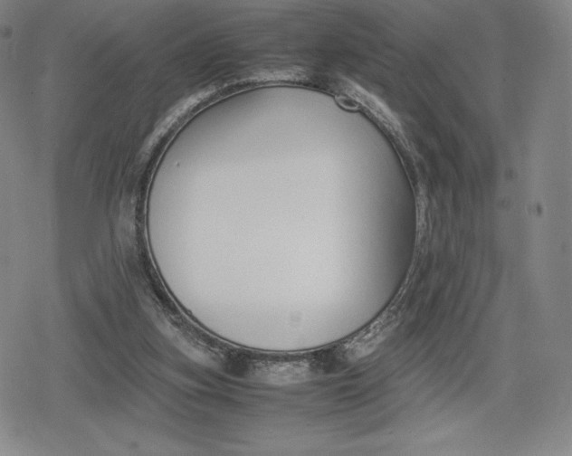 X0000080170155200612221259