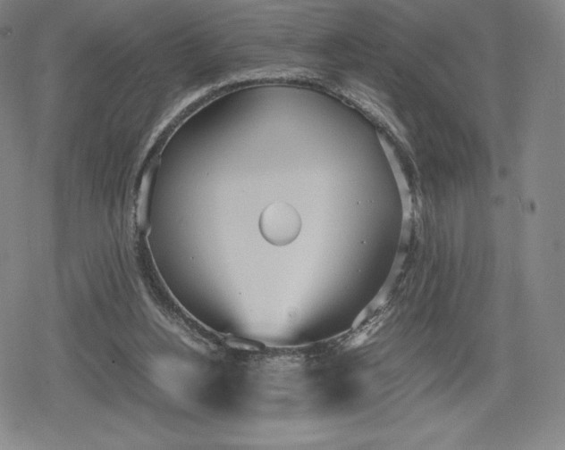 X0000080170156200612221259