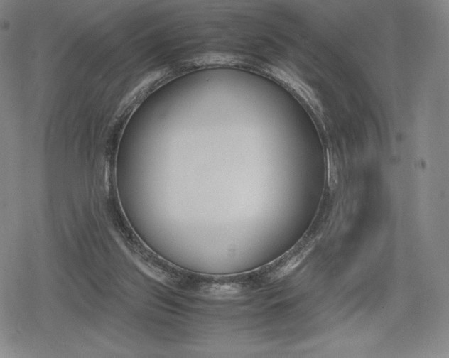 X0000080170157200612221259