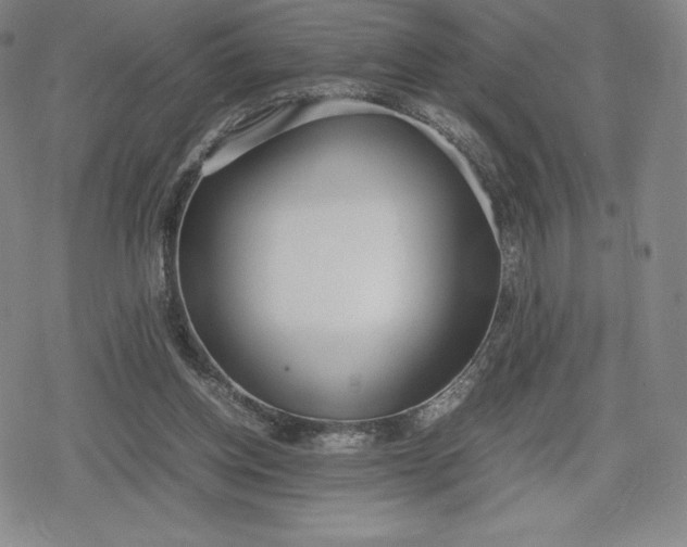 X0000080170158200612221259