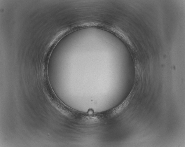 X0000080170159200612221259