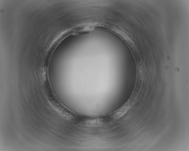 X0000080170160200612221259