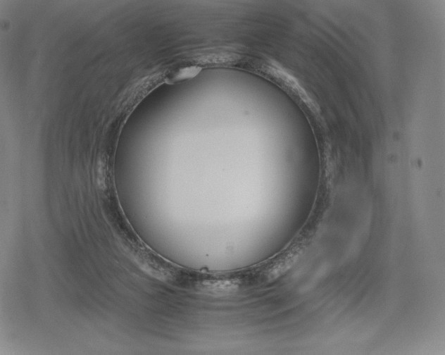 X0000080170161200612221259