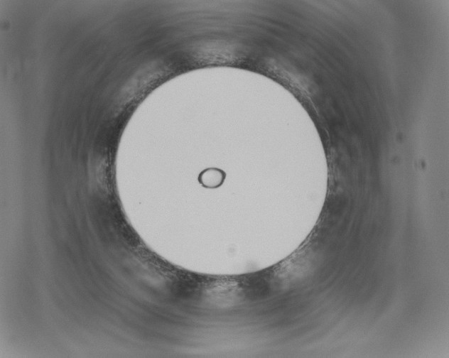 X0000080170162200612221259