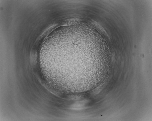 X0000080170163200612221259