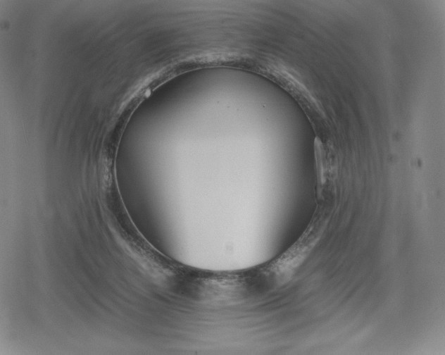 X0000080170164200612221259