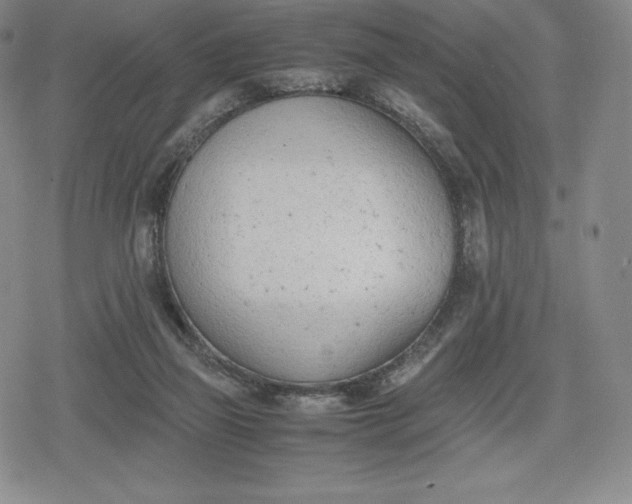 X0000080170165200612221259