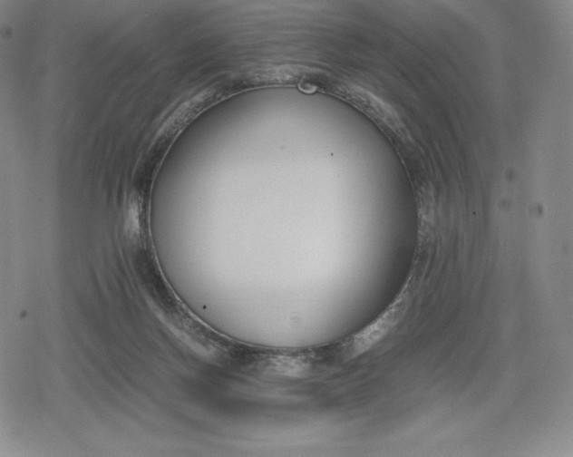 X0000080170166200612221259