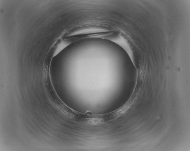 X0000080170168200612221300