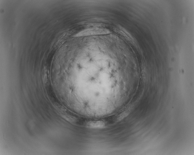 X0000080170169200612221300