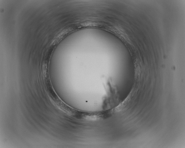 X0000080170171200612221300